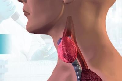 Biohemijska analiza i analiza hormona štitne žlezde u Poliklinici Millenium Medic za 1600 din